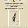 La radice  dell'ulivo