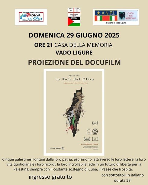 La radice  dell'ulivo