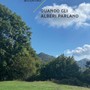 Quando gli alberi parlano