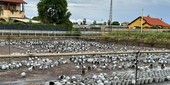Alluvione 2024: Coldiretti attacca la Regione