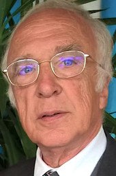 Il fiore della Costituzione Il fiore della Costituzione