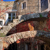 Festivalcontrario: musica, arte e natura in Val Neva