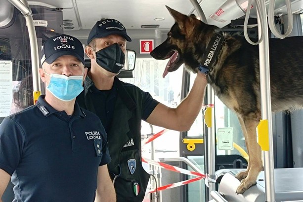 TPL Linea: nuovi abbonamenti per gli studenti