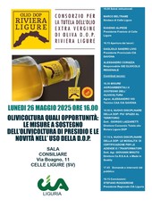 A Celle Ligure il convegno sul futuro dell’olivicoltura