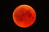 Eclissi di luna