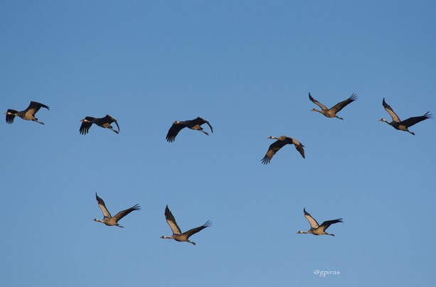 In volo sul Beigua