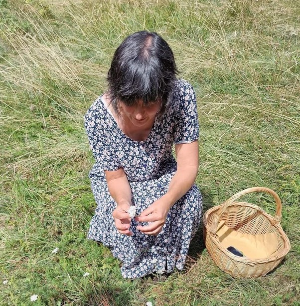 Da streghe a herbarie a foragers
