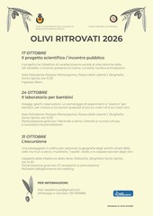 Olivi ritrovati