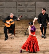 Ad Albissola El fuego flamenco