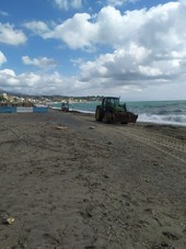 Albissola Marina, pulizia straordinaria del litorale dopo il maltempo