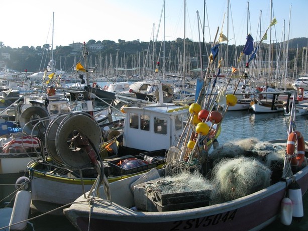 Stop alla pesca all'acciuga: anche le lampare savonesi ormeggiano