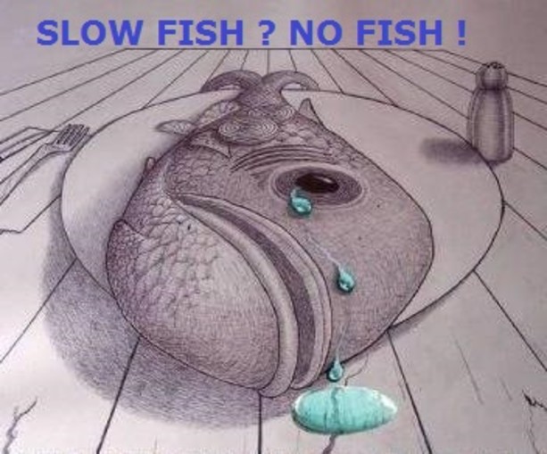 Slow Fish? No Fish!
