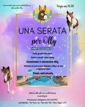 Una serata per Olly