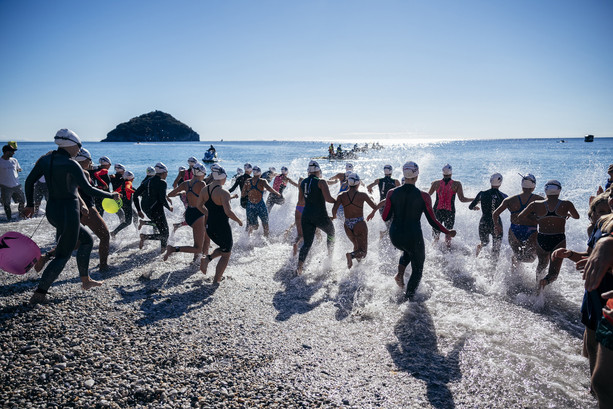 Swimtheisland 2025