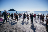 Swimtheisland 2025