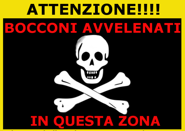 Esche avvelenate: allarme per cani e gatti nell'Albenganese