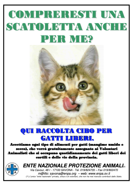 Raccolta cibo per gatti liberi