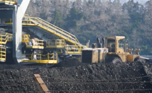 I danni del carbone