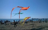 Ponti primaverili: a Ceriale mercatini e la festa degli aquiloni