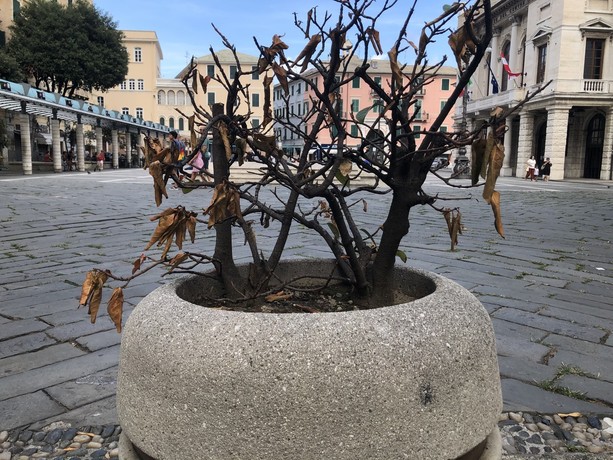 Dove va la politica a Savona?