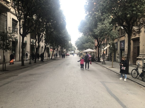 Mozione riapertura corso Italia, Meles (M5S Savona): &quot;pedonalizzazioni fallimentari, PD sconnesso dalla realtà&quot;
