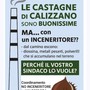 Calizzano: castagne e inceneritori