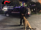 Carabinieri, due arresti ad Albenga