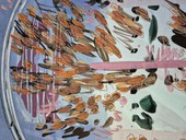 Giorgio Moiso. Ceramiche in via Montenotte