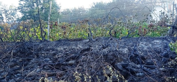 La rabbia del fuoco