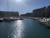 Delirio Darsena: la prevenzione necessaria
