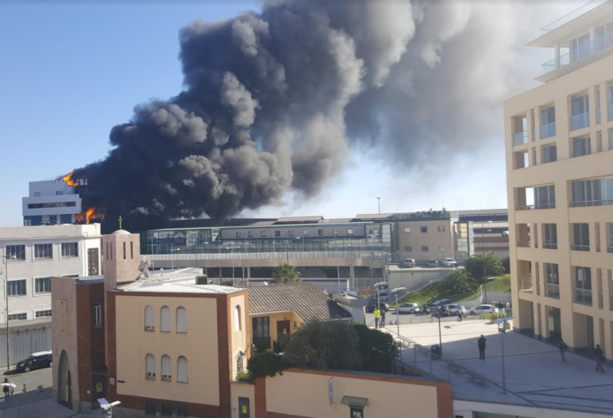 Brucia l'Autorità portuale