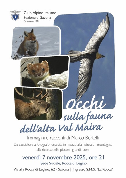 La fauna dell'alta Val Maira