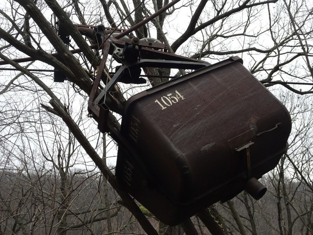 Foto: Fulvio Michelotti