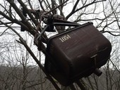 Foto: Fulvio Michelotti