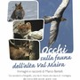 La fauna dell'alta Val Maira La fauna dell'alta Val Maira