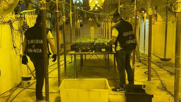 GdF Savona: sequestrate tre tonnellate di hashish e marijuana