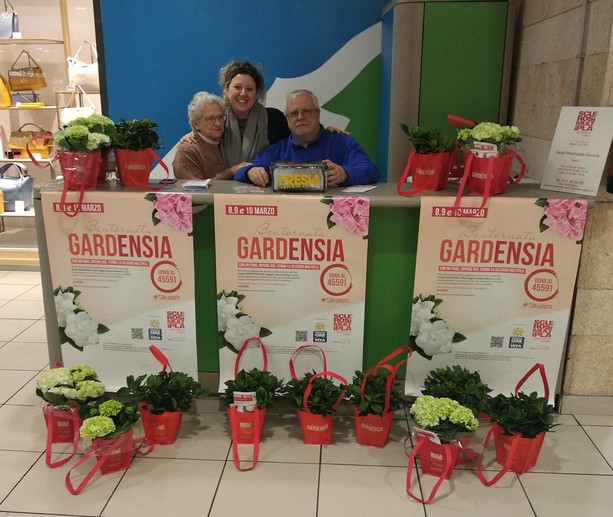 Bentornata Gardensia: un fiore contro la sclerosi multipla