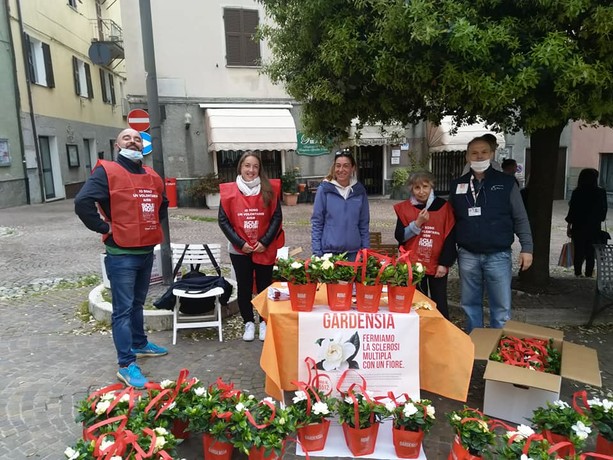 Un fiore contro la sclerosi multipla