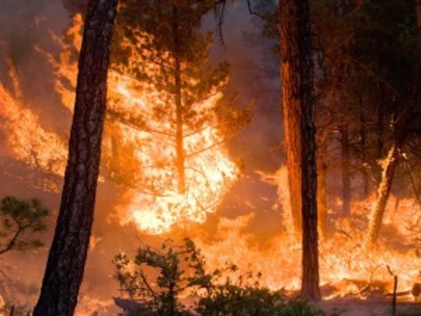 Ecomafia 2019: i numeri della criminalità ambientale in Liguria