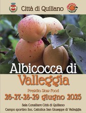 Torna la festa dell'albicocca di Valleggia