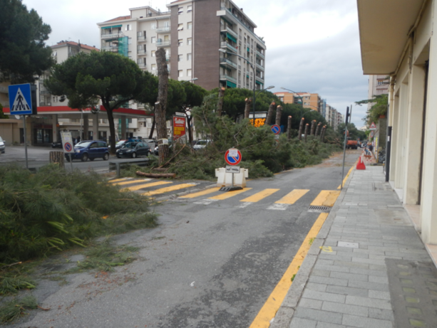 Savona affonda: Caprioglio minimizza, Pasquali attacca