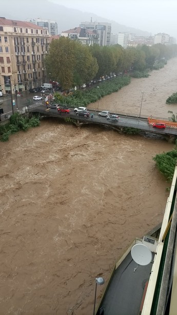 Il Letimbro a Savona