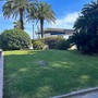 Finale Ligure, manutenzione straordinaria e riqualificazione del verde urbano