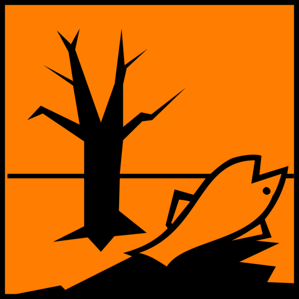 Rigas: valutate, valutate, valutate