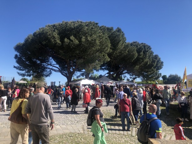 Dal 25 Aprile al Primo Maggio