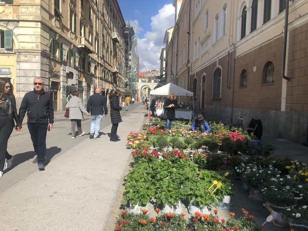 Nel weekend torna Savona in fiore