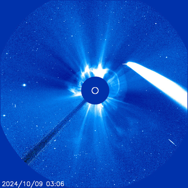 Naso all'insù per la Cometa Tsuchinshan Naso all'insù per la Cometa Tsuchinshan