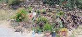 Stellanello, piccola perla a Ponente
