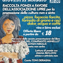Una serata a Cantagalletto